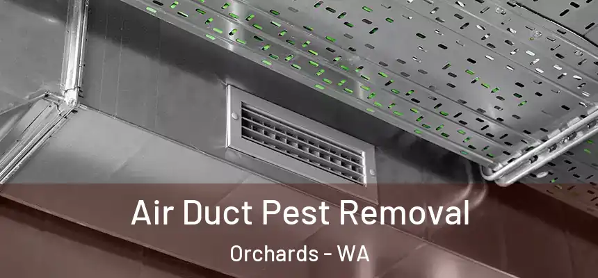 Air Duct Pest Removal Orchards - WA