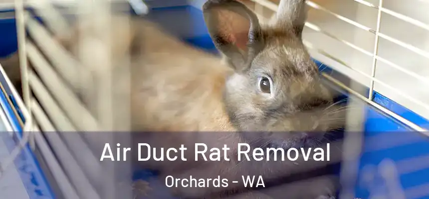 Air Duct Rat Removal Orchards - WA