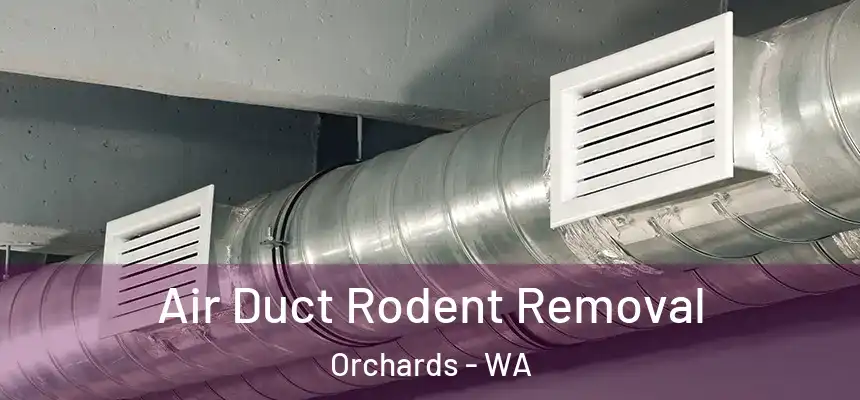 Air Duct Rodent Removal Orchards - WA