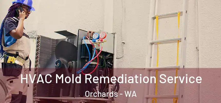 HVAC Mold Remediation Service Orchards - WA
