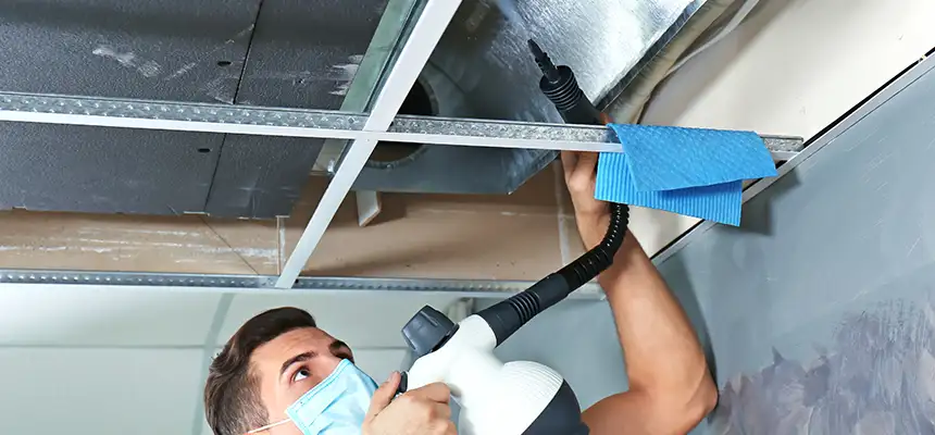 Our Air Duct Rodent Removal Services in Orchards, WA