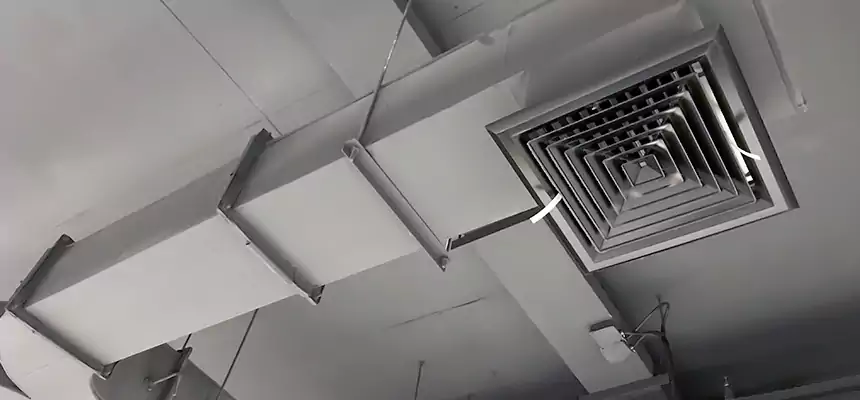 Restorative Allergy Relief Vent Cleaning – Coil, Blower & Housing Detail in Orchards