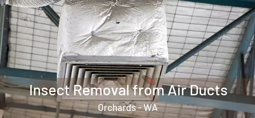  Insect Removal from Air Ducts Orchards - WA