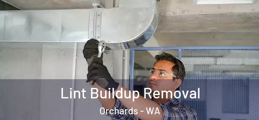 Lint Buildup Removal Orchards - WA
