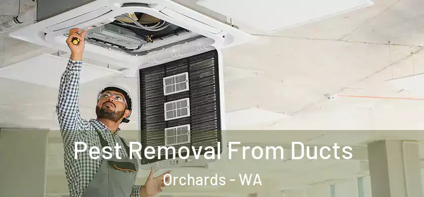 Pest Removal From Ducts Orchards - WA