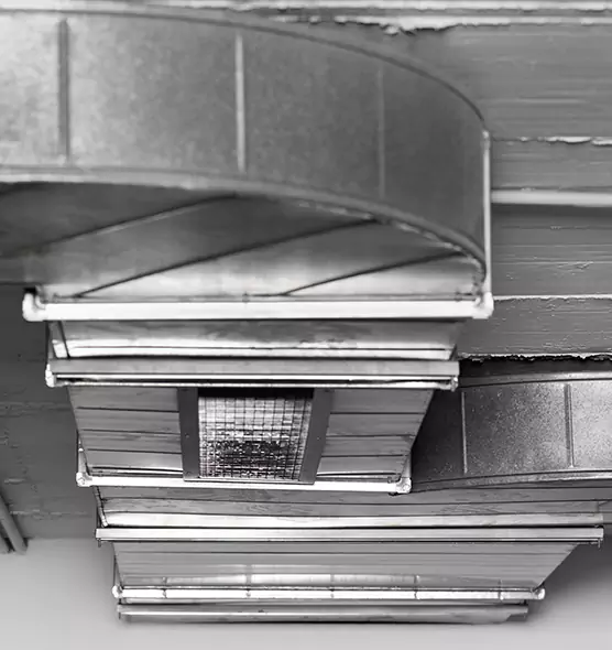 Professional Air Duct Pet Hair Removal in Orchards, WA