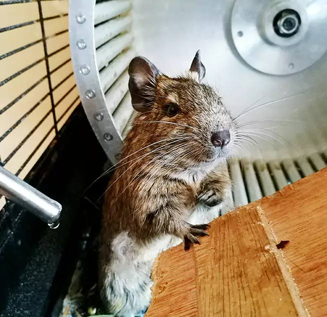 Why Homeowners & Businesses Trust Us Orchards, WA