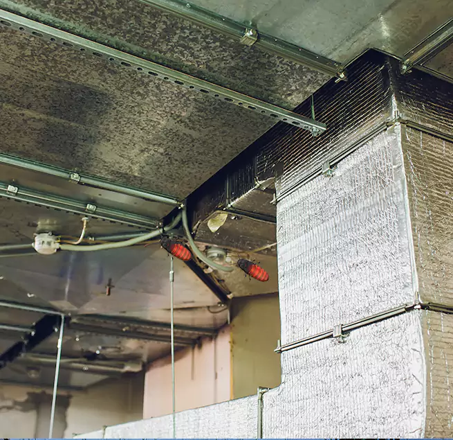 Why Homeowners & Businesses Trust Us Orchards, WA?