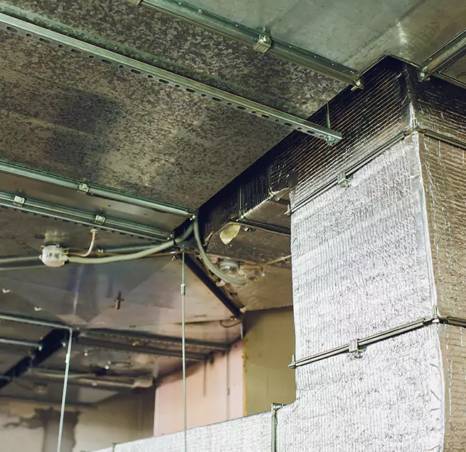 Why Homeowners & Businesses Trust Us in Orchards, WA?